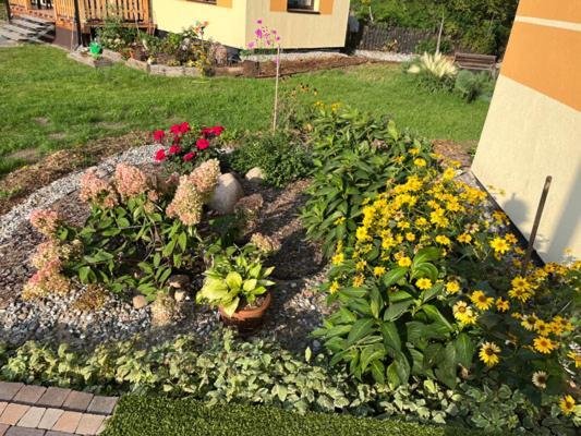 Fajna Kwatera Apartament Warszawa